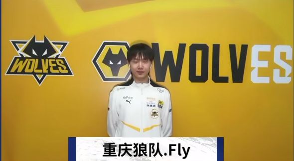 案例参照与